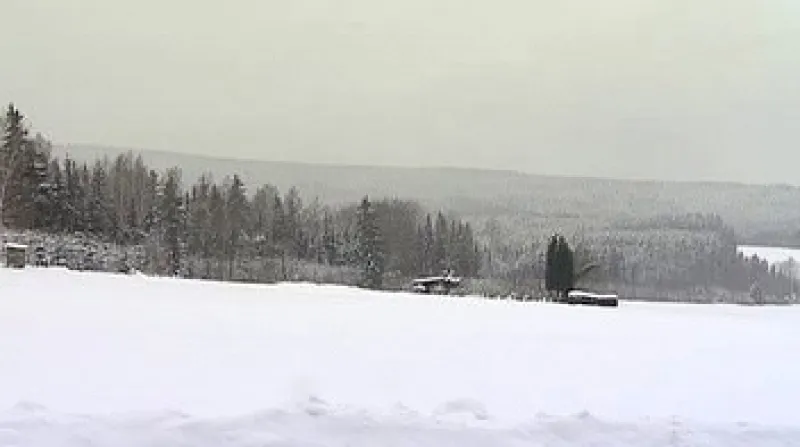 Německý soud uznal, že město Cheb může hospodařit se svým lesem v Bavorsku.