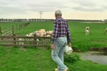 Čeští farmáři zatočí s byrokracií v zemědělství