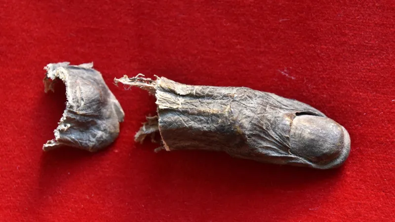 Díky výbornému stavu ostatku se podařilo získat otisk palce