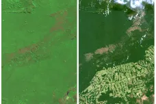 Satelitní záběry ukazují, jak brazilské pralesy mizí před očima
