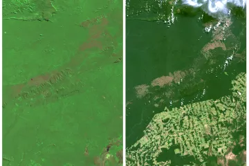 Satelitní záběry ukazují, jak brazilské pralesy mizí před očima