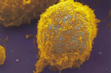 České hlavy ovládla Akademie věd ČR