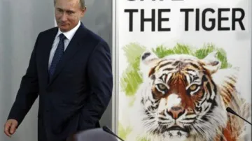 Vladimir Putin na \"tygřím summitu\"