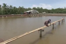 Ekosystém Mekongu je kvůli přehradám v ohrožení. Ubývá ryb i úrodných naplavenin