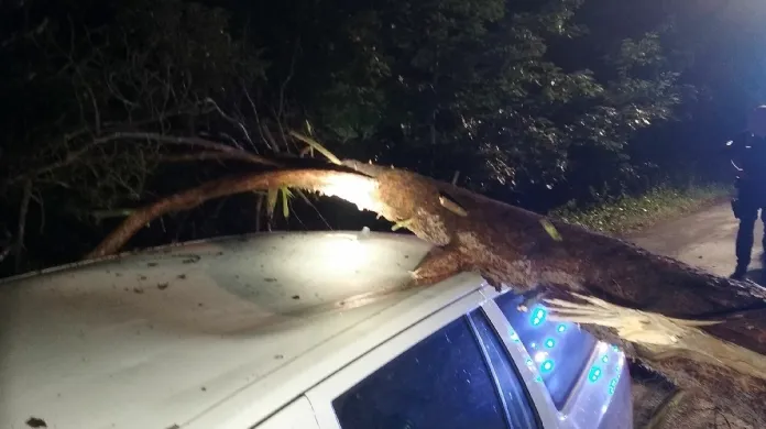 Na Pardubicku spadl strom na auto
