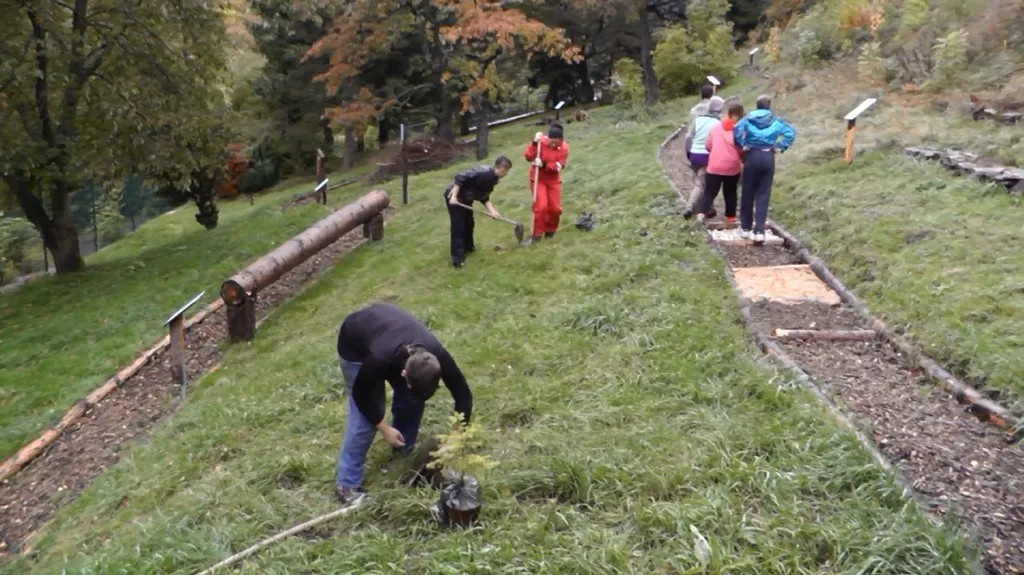Dobrovolníci ZŠ Jáchymov sázejí stromky