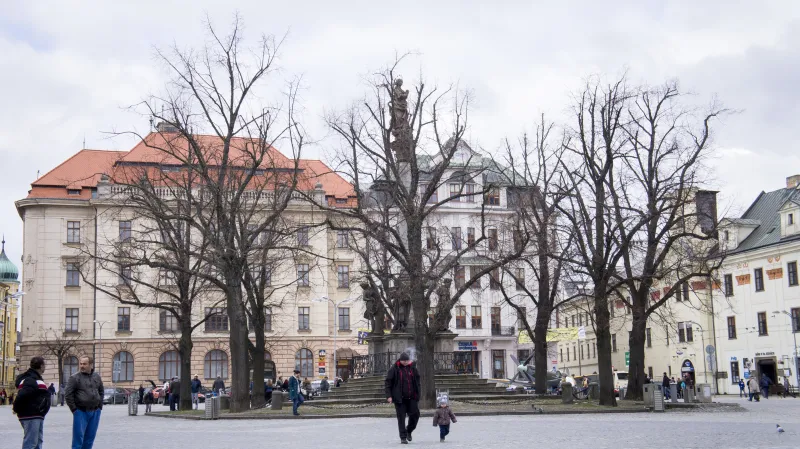 Lípy u morového sloupu