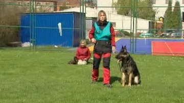 Mezinárodní mistrovství služebních psů