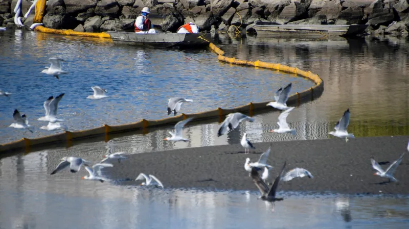 Ekologové se vypořádávají s jednou z největších olejových skvrn, která postihla pobřeží Jižní Kalifornie