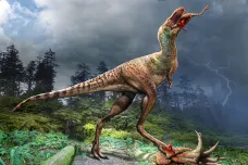 Poslední večeře bratrance Tyrannosaura rexe se skládala z dinosauřích mláďat