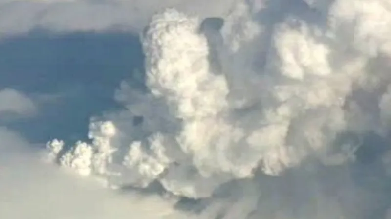 Reportáž Dany Zlatohlávkové