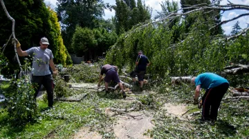 Zaměstnanci hřbitova uklízejí popadané stromy po bouřce