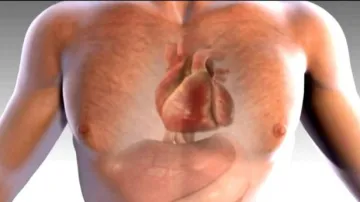 Kardiolog: Výskyt srdečních vad v populaci je 7 na 1000