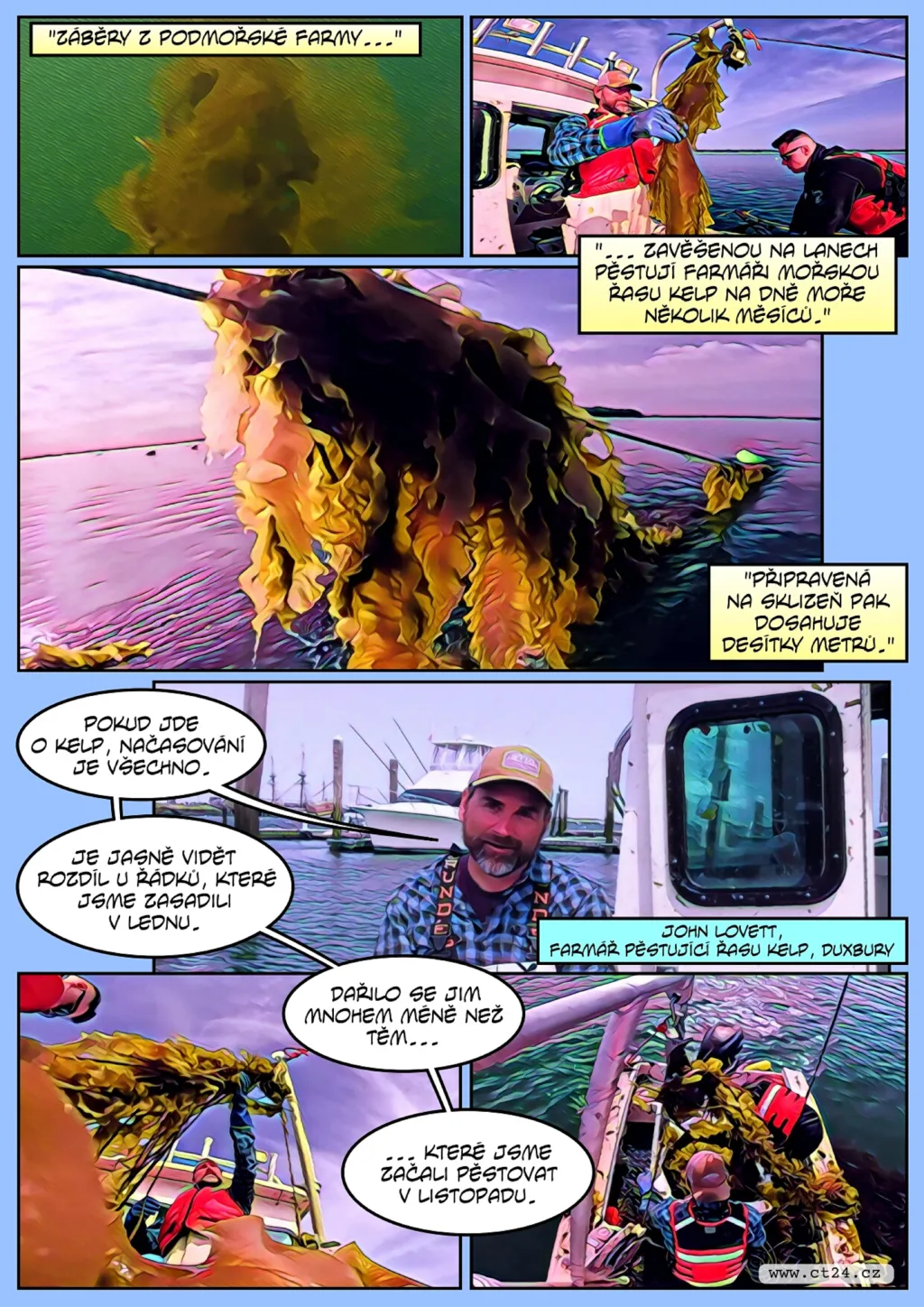 Velryby jsou ohrožené farmami na řasy