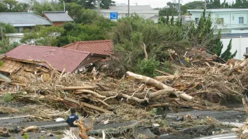 Tajfun Wipha po sobě nechal vyvrácené stromy