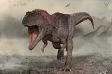 Paleontologové v Argentině objevili nového dinosaura. Měl mohutnou hlavu a kratičké končetiny