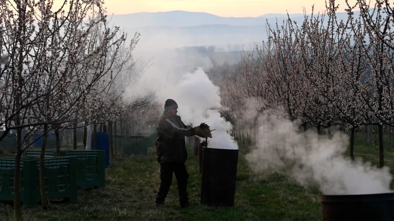 Ohně zapalovali třeba pracovníci sadu v Buchlovicích na Uherskohradišťsku
