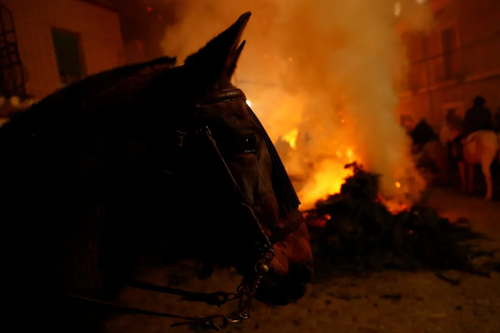 Koně skáčou přes oheň již 500 let