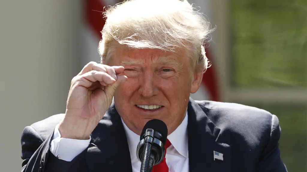 Rok Donalda Trumpa ve funkci prezidenta USA
