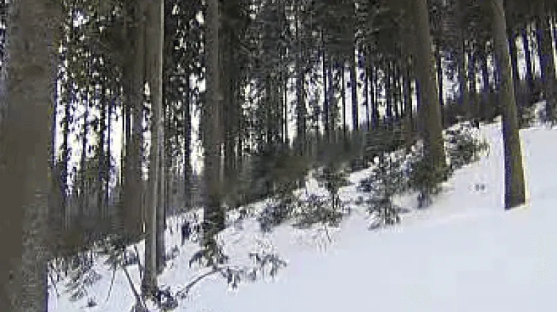 Nová rezervace v Jeseníkách