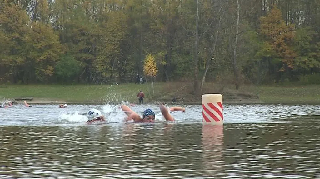 Foto ze závodu