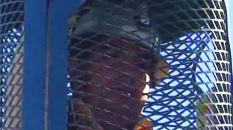 Mezi chilskými horníky panuje solidarita