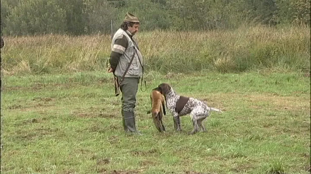 Foto ze soutěže ohařů