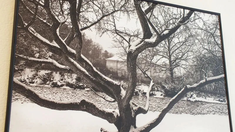 Z výstavy v Galerii Otakara Kubína v Boskovicích