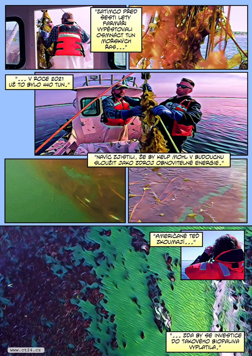 Velryby jsou ohrožené farmami na řasy