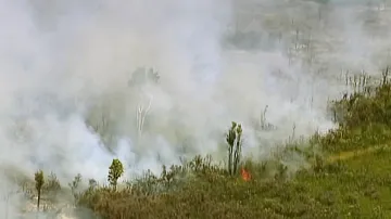 Požáry v Austrálii