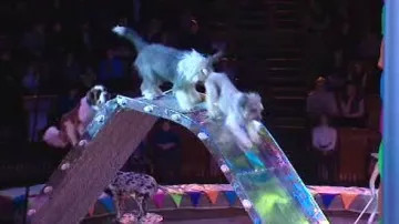 Představení Moskevského státního cirkusu