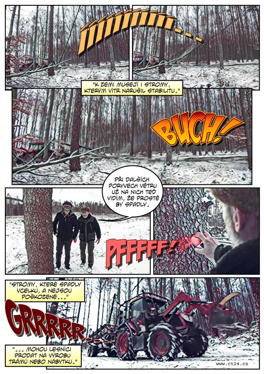 Následky silného větru v lesích