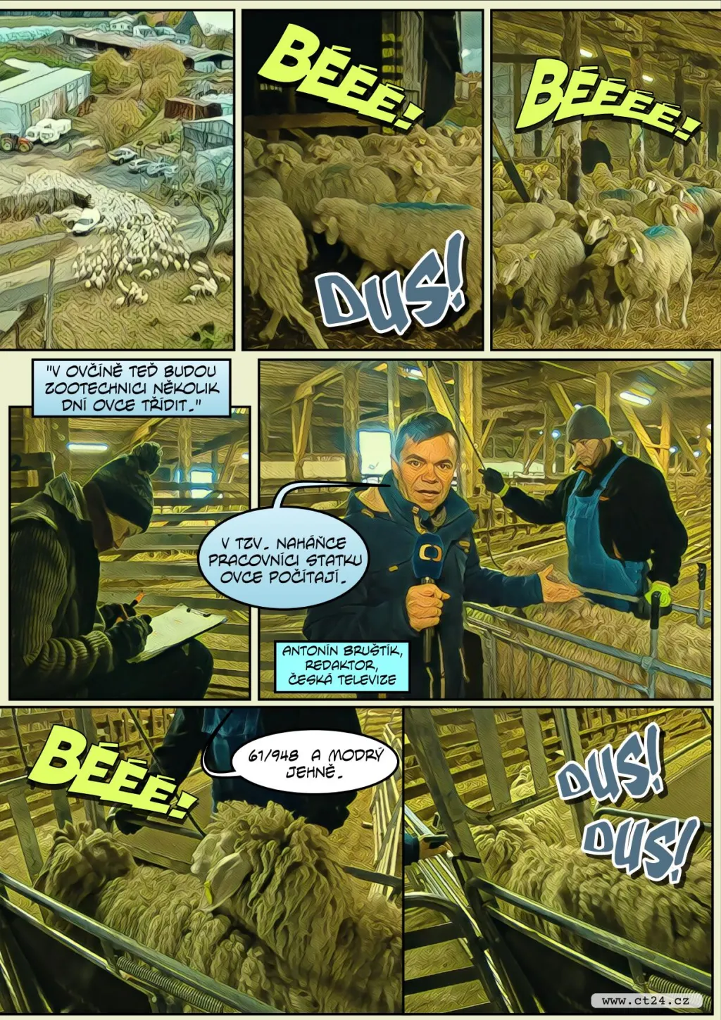 Pastevci se připravují na zimu a zahnali stáda ovcí z luk do stájí
