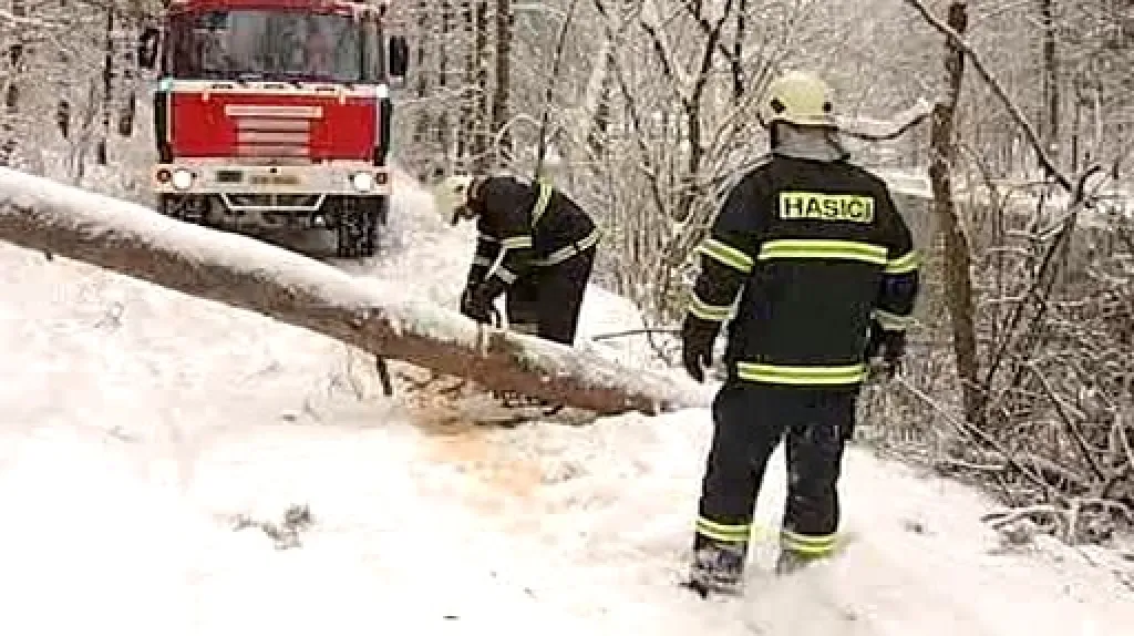 Hasiči odklízejí spadlý strom