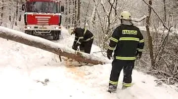 Hasiči odklízejí spadlý strom