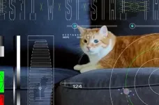 Miliony kilometrů vzdálená sonda NASA poslala laserem na Zemi video s kočkou