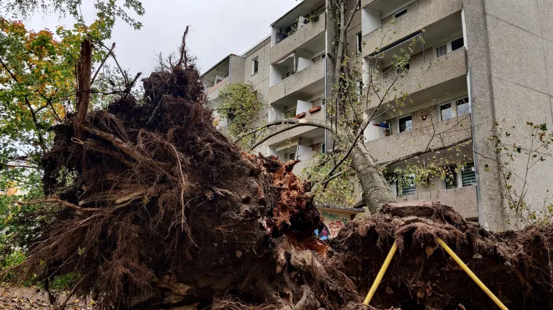 Následky vichřice v Berlíně