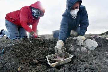 Těžba vytlačuje archeology od Bíliny. Mezi stovkami koster našli i porod v rakvi