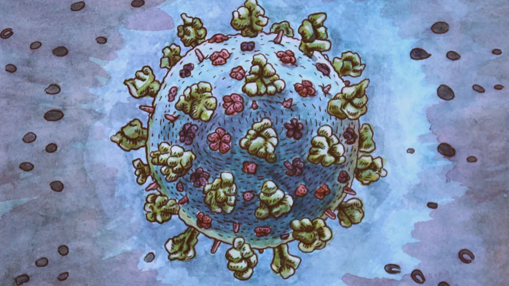 Ilustrace koronaviru