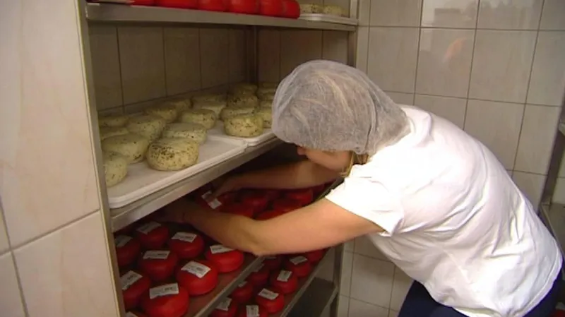 Kozí sýry z ekofarmy Dvorský