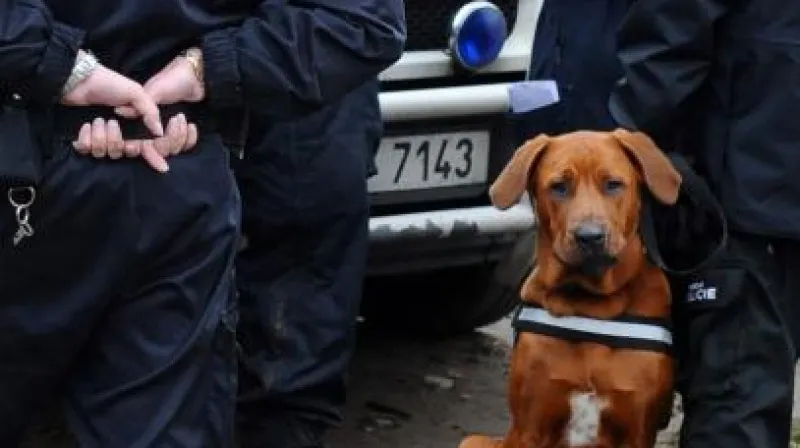 Stovky policistů opět pátraly po nezvěstné Aničce Janatkové