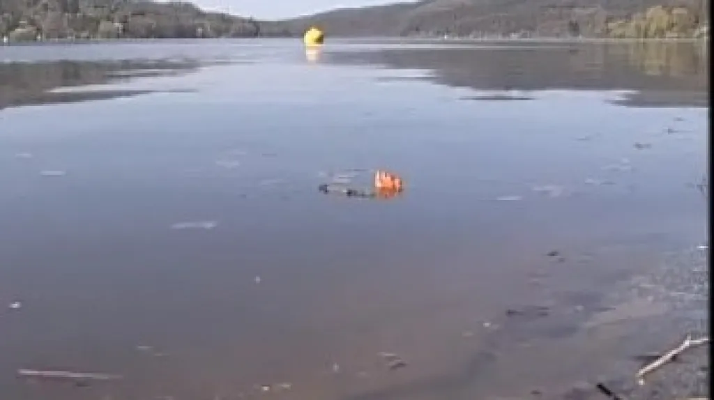 Znečištěná voda Brněnské přehrady