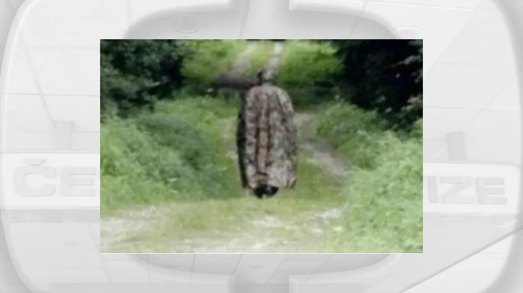 Švýcarskými lesy bloumá tajemná postava