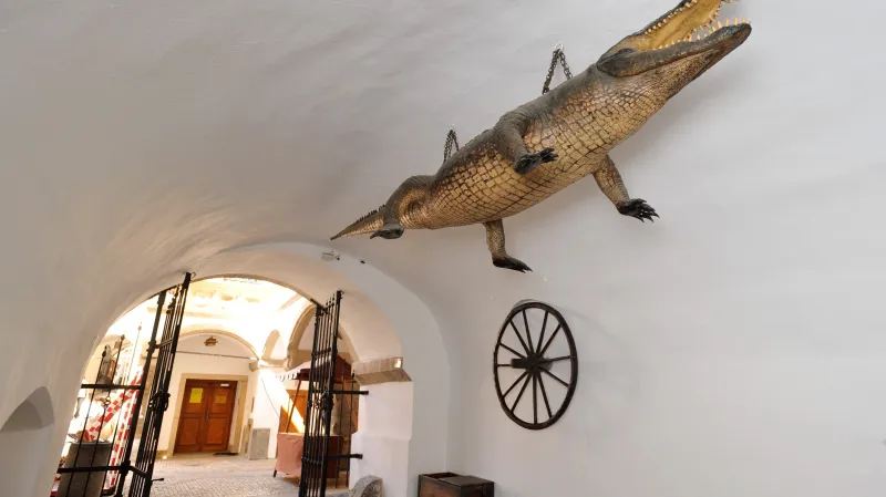 Brněnský drak a kolo na Staré radnici