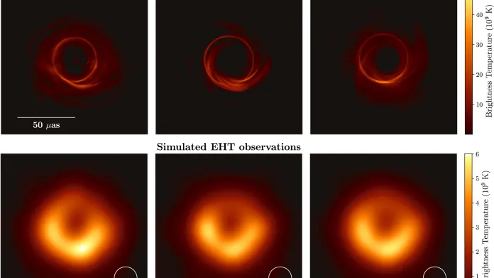 Simulace a realita: v horním řádku jsou simulace černé díry, v dolním pak výsledky reálných pozorování