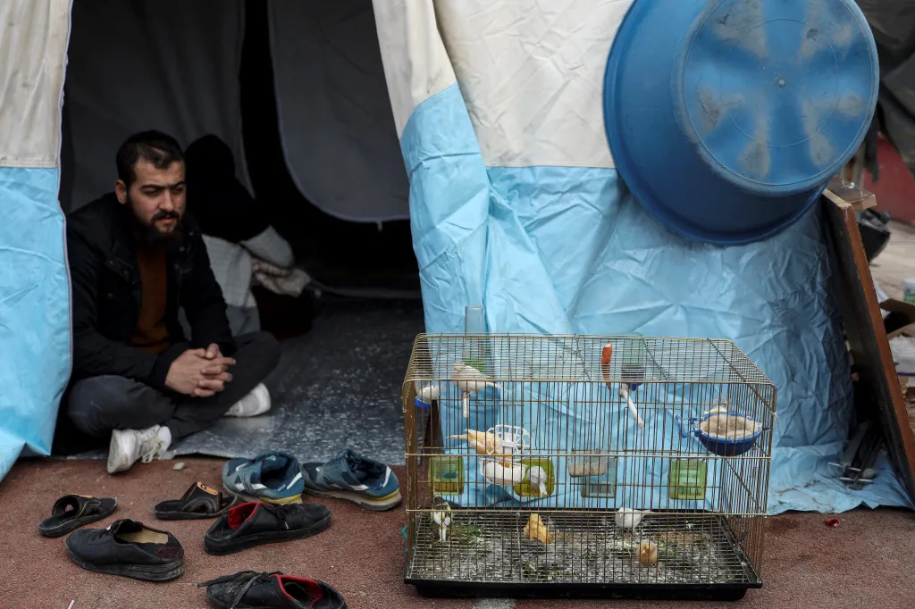 Muhammad sedí ve stanu vedle svých ptáků na stadioně v Kahramanmarasu, kde byl postaven tábor pro přeživší