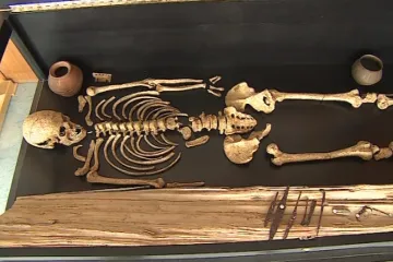 Holubice lákají na čtvrtohorní zkameněliny