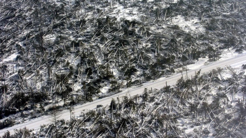 Tatry po ničivé vichřici v roce 2004
