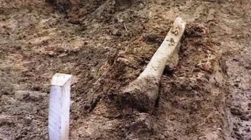 Vyšetřovatel Michal Laško a režisér David Vondráček ve Studiu ČT24