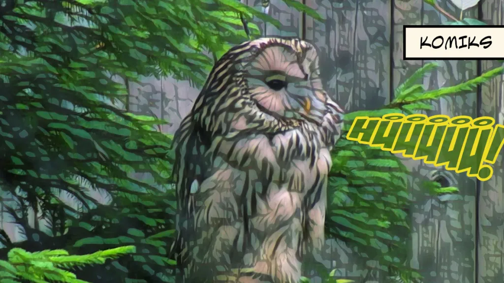 Šumavské lesy se rychle regenerují